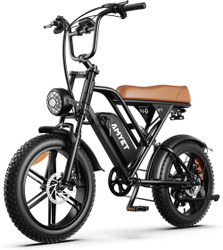 G60 Electric Bike-1000W Single Motor, 48V 15AH, 45-55KM Range, 30MPH Speed, 20-Inch Fat Tires, Dual Suspension, Disc Brake E-Brake (Option: Brown)
